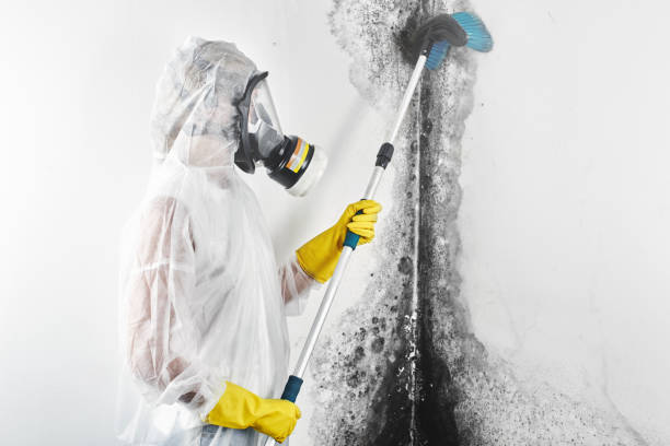 Forensic Mold Investigation in Glenmora, LA