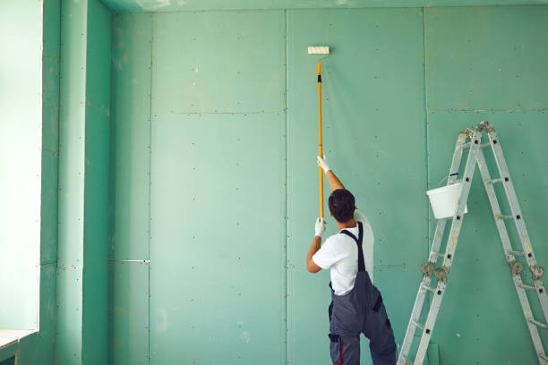 Best Mold Documentation for Insurance Claims  in Glenmora, LA