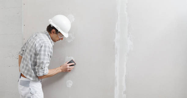 Best Environmental Consulting for Mold Prevention  in Glenmora, LA