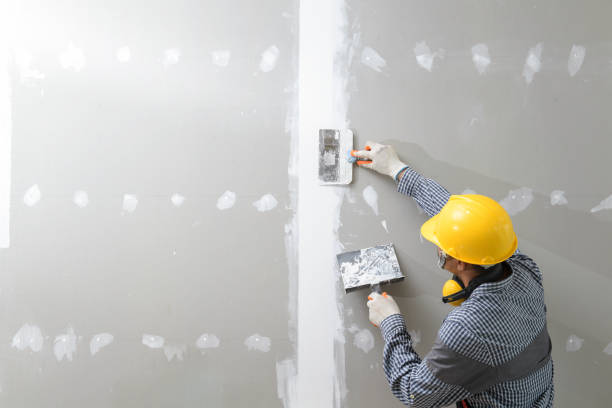 Glenmora, LA Mold Removal Company