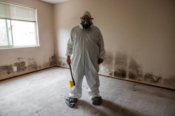 Best Mold Remediation for Healthcare Facilities  in Glenmora, LA