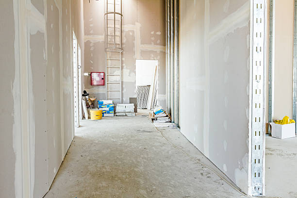 Best Airborne Mold Testing  in Glenmora, LA